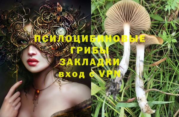 мяу мяу мука Армянск