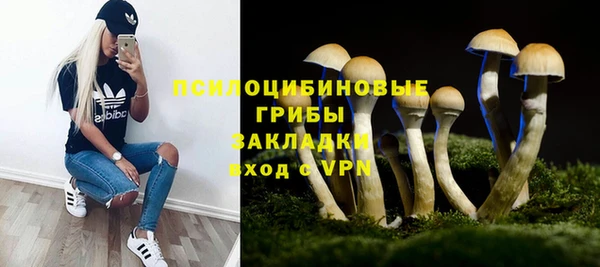 мяу мяу мука Армянск