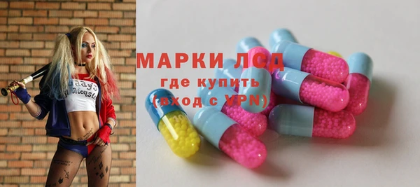 spice Аркадак