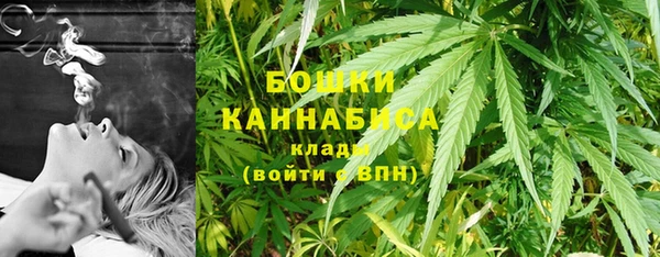 spice Аркадак