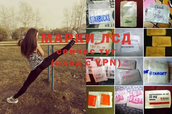 мяу мяу мука Армянск