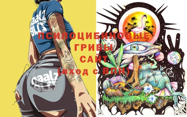 мяу мяу мука Армянск