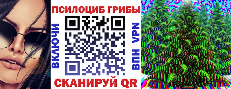 Псилоцибиновые грибы Psilocybine cubensis  Можга 
