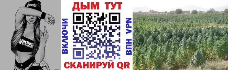 сайты даркнета Telegram  наркотики  Можга  Бошки Шишки AK-47 